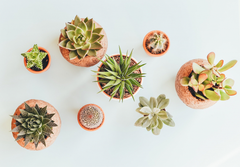 Annie spratt nc Q2sgu Vlgo unsplash
